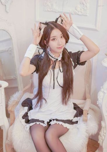 浮图缘电视剧免费观看全集高清