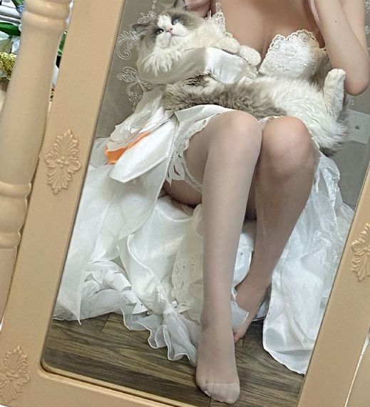 孤舟电视剧在线观看免费完整版