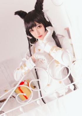 绝佳的解决师